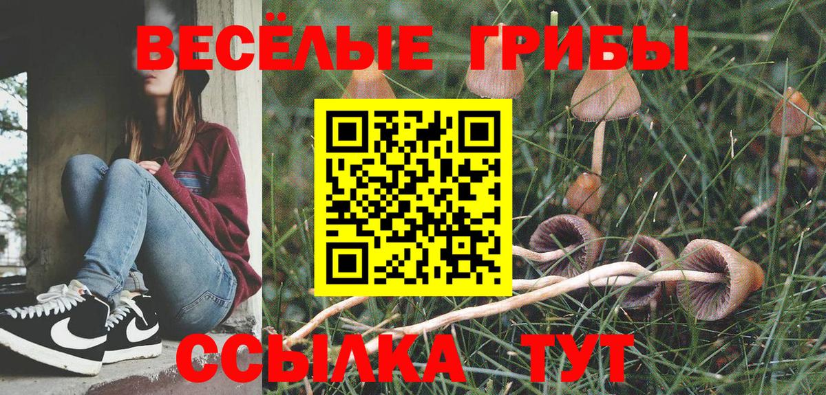Галлюциногенные грибы прущие грибы  Псилоцибиновые грибы MAGIC MUSHROOMS  Вход с VPN  Орехово-Зуево 